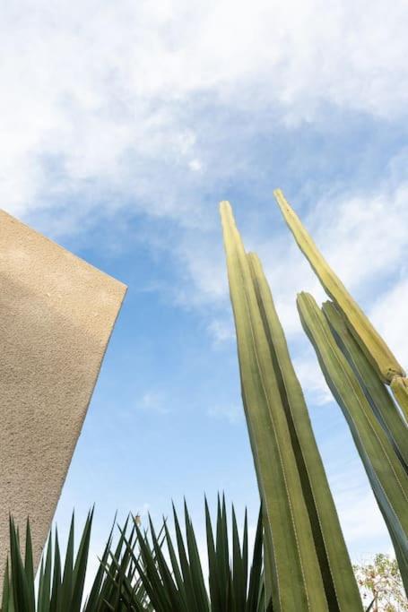 Desert Princess Villa Palm Springs Area คาธีดรัลซิตี ภายนอก รูปภาพ
