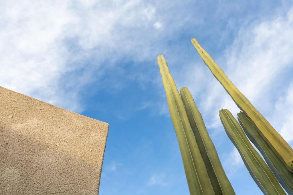Desert Princess Villa Palm Springs Area คาธีดรัลซิตี ภายนอก รูปภาพ